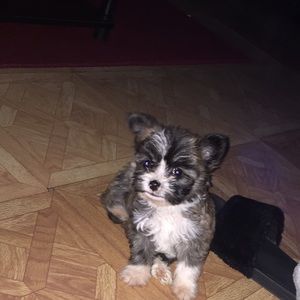 Meet your Posher, Iyonna